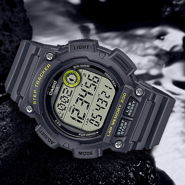 Casio WS-2100H-8A