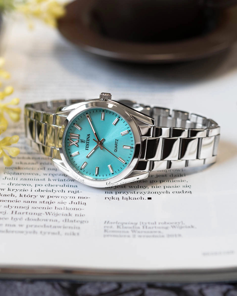 Festina F20622/D