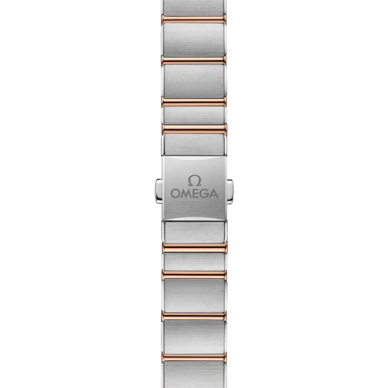 Omega 131.20.25.60.63.001