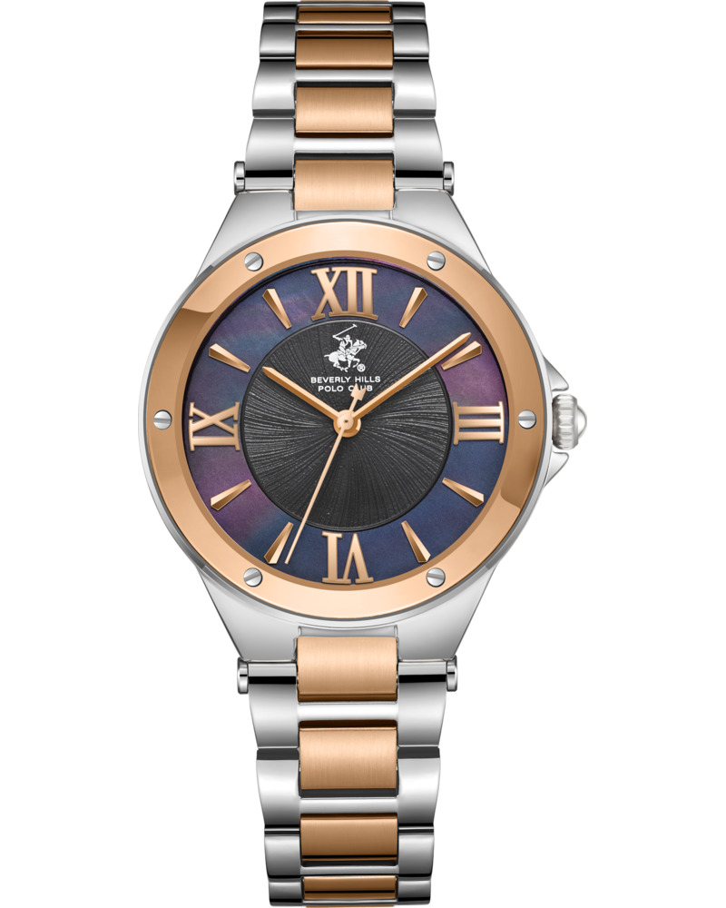 Часы Beverly Hills Polo Club BP3740C.560