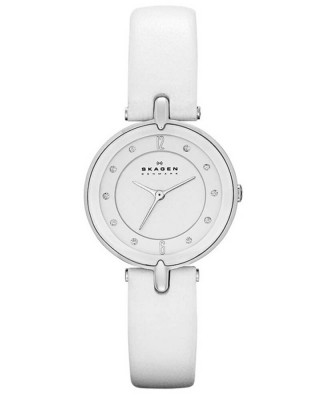 Skagen SKW2012